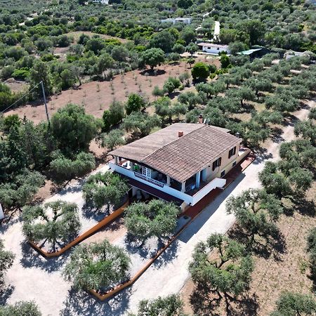 Rustico Degli Ulivi Apartman Orosei Kültér fotó